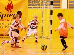 mini-Schlins-U9-Spiegl-DSC_1192